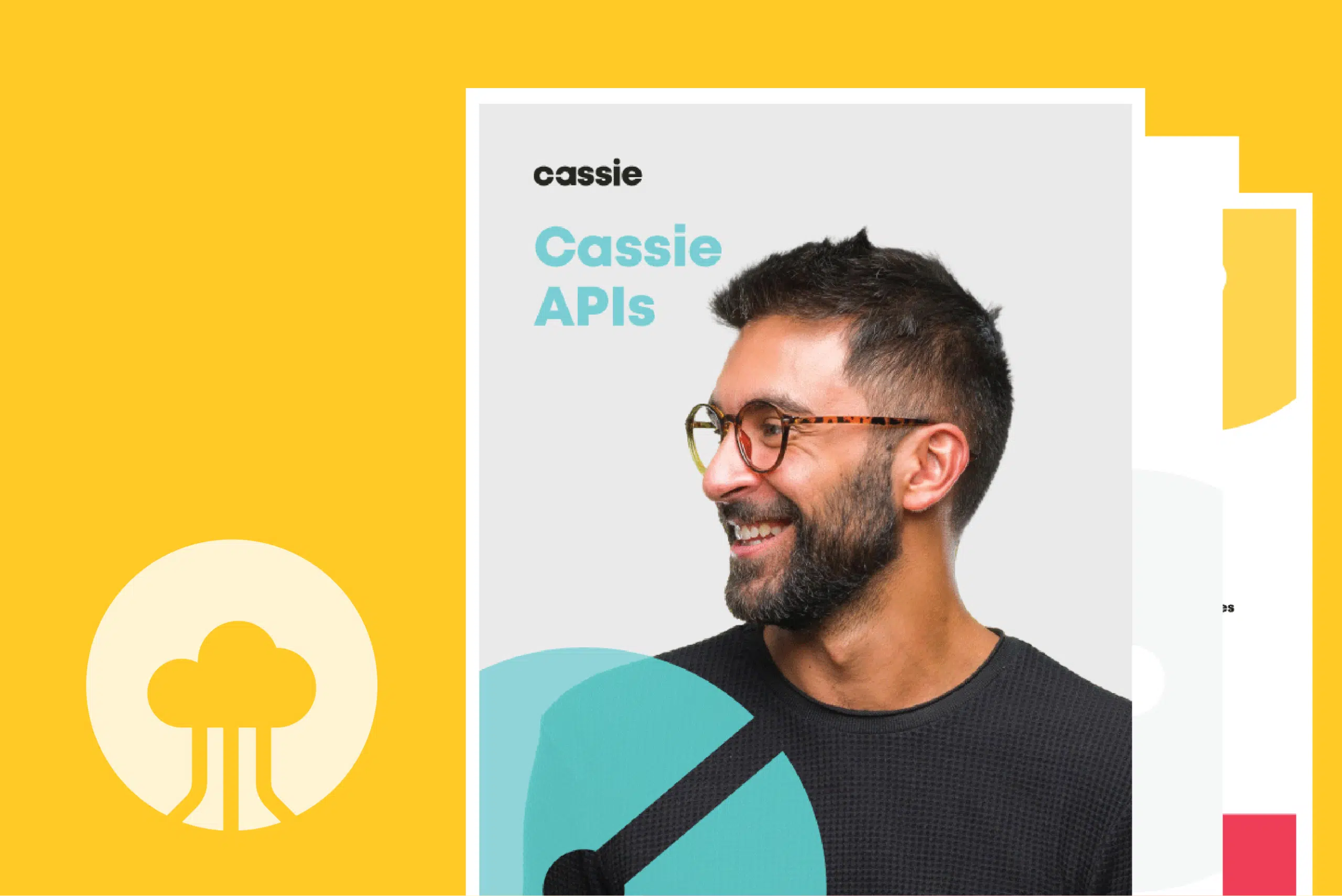 datasheet cassie APIs featured img