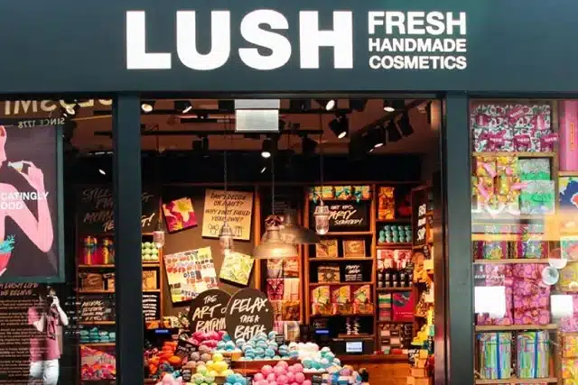 lush campaigns against big tech